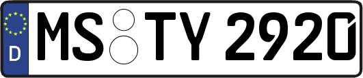 MS-TY2920