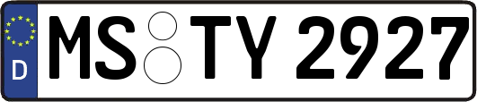 MS-TY2927