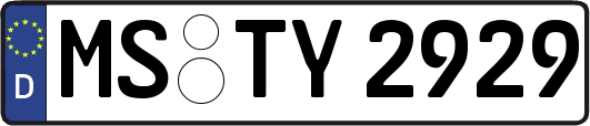 MS-TY2929