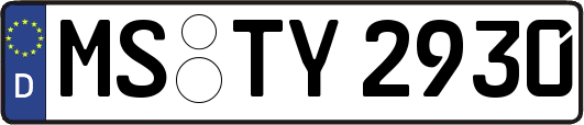 MS-TY2930
