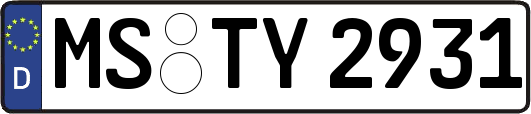 MS-TY2931