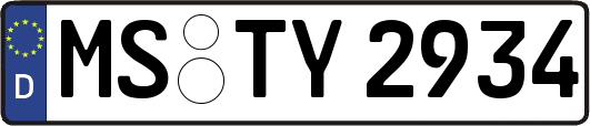 MS-TY2934