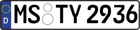 MS-TY2936