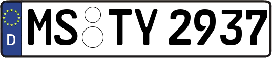 MS-TY2937