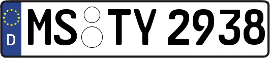 MS-TY2938