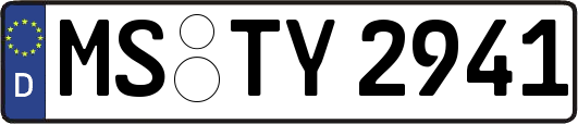 MS-TY2941