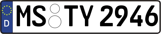 MS-TY2946
