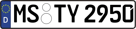MS-TY2950
