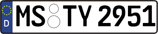 MS-TY2951