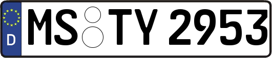 MS-TY2953