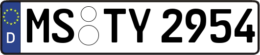 MS-TY2954