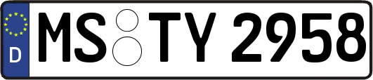 MS-TY2958