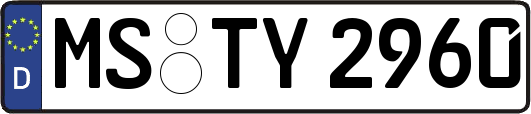 MS-TY2960