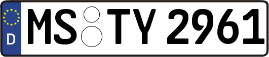 MS-TY2961