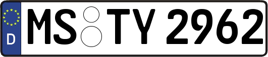 MS-TY2962