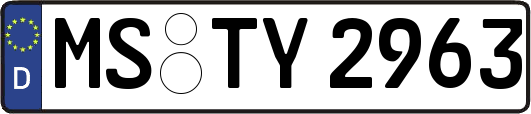 MS-TY2963