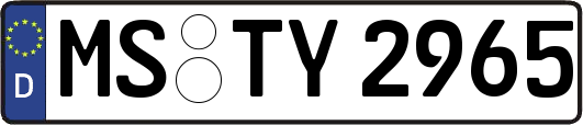 MS-TY2965