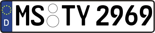 MS-TY2969