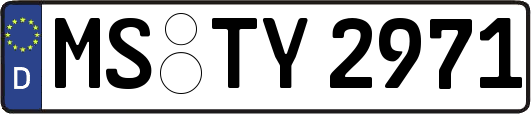 MS-TY2971