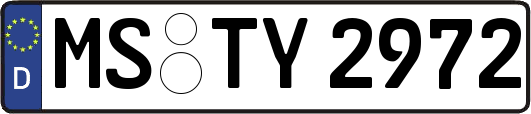 MS-TY2972