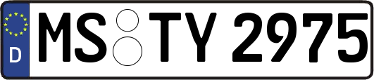 MS-TY2975