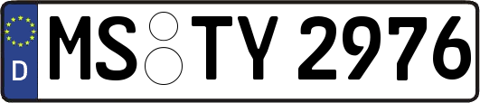 MS-TY2976