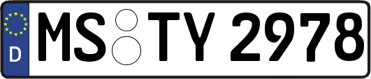 MS-TY2978