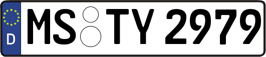 MS-TY2979
