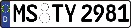 MS-TY2981