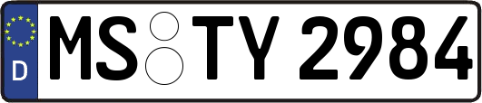 MS-TY2984