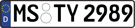 MS-TY2989