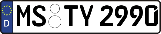MS-TY2990
