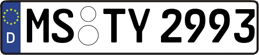 MS-TY2993