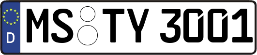 MS-TY3001