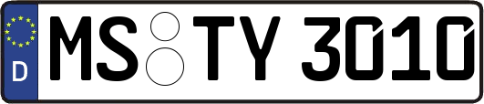 MS-TY3010
