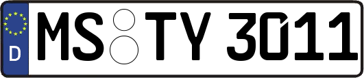 MS-TY3011
