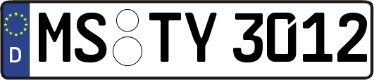 MS-TY3012
