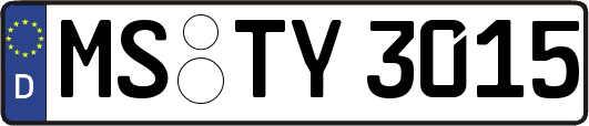 MS-TY3015