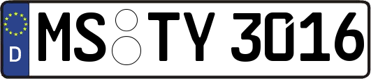 MS-TY3016