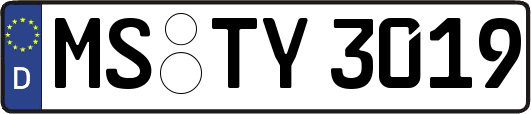 MS-TY3019