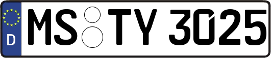 MS-TY3025
