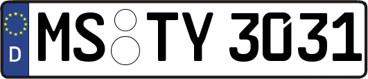 MS-TY3031