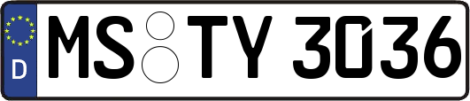 MS-TY3036
