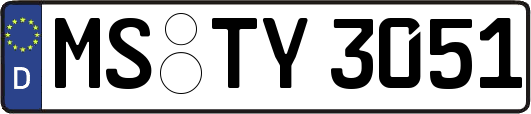 MS-TY3051