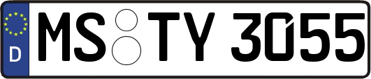 MS-TY3055