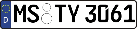 MS-TY3061