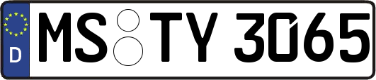 MS-TY3065