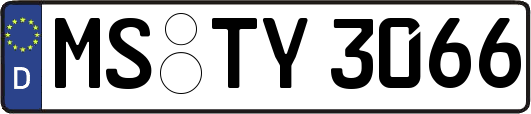 MS-TY3066