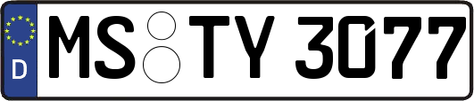 MS-TY3077