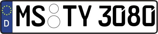 MS-TY3080